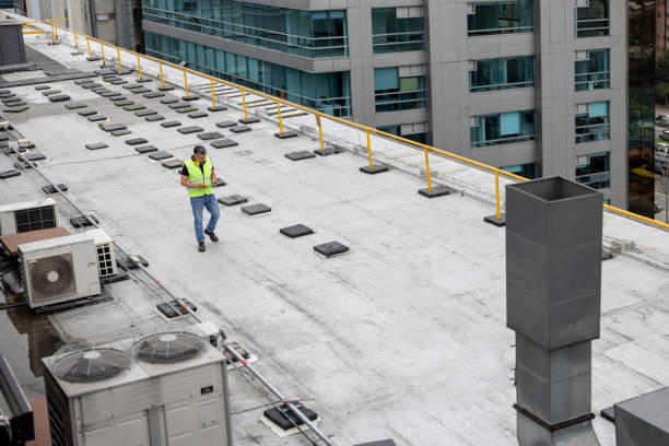 Best Roof Moss and Algae Removal  in Taft, CA